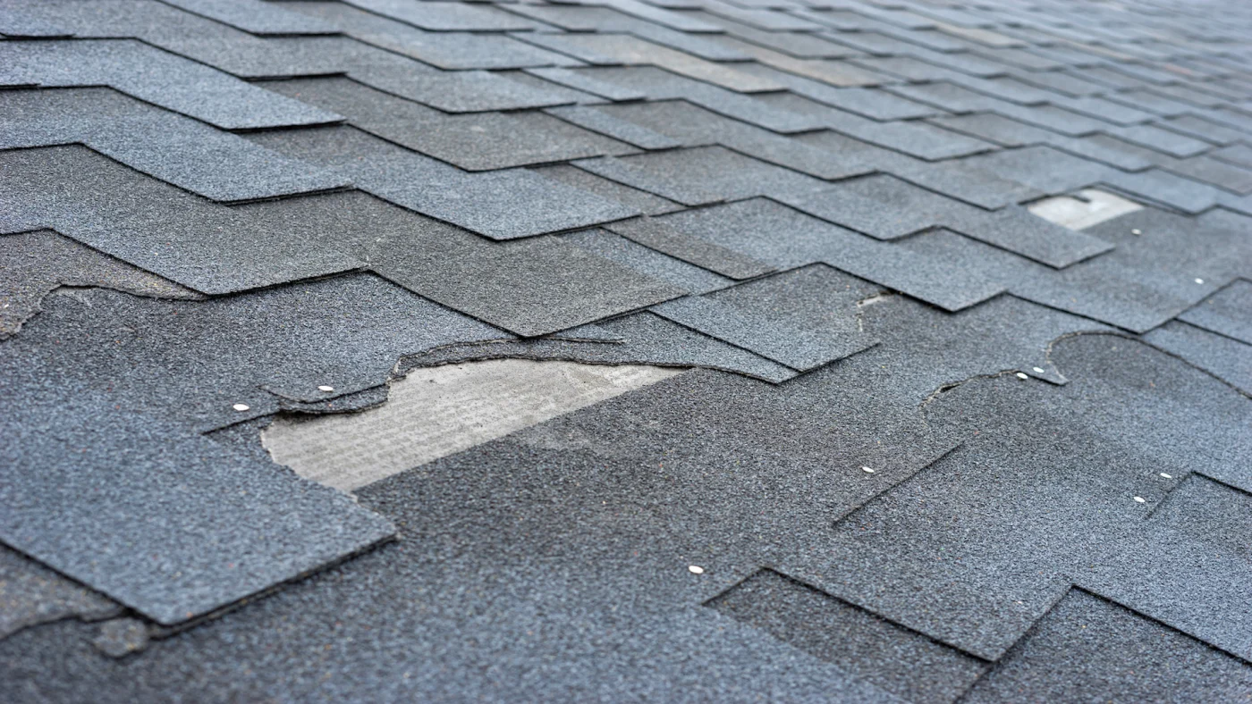 Asphalt Shingle Roofing Damage Mullica Hill Nj