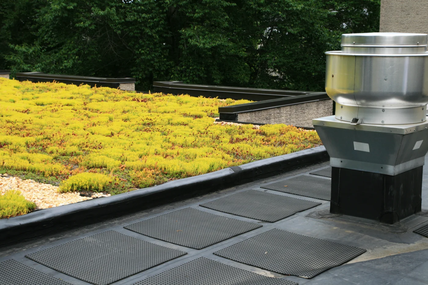 A residential roof, installed by Ameritech NJ, is partially covered with greenery to conserve water and energy.