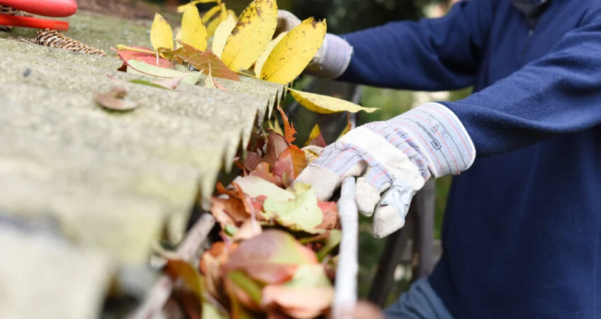 Dependable Gutter Cleaning And Roof Maintenance Mount Laurel Nj Ameritech Services 848x450