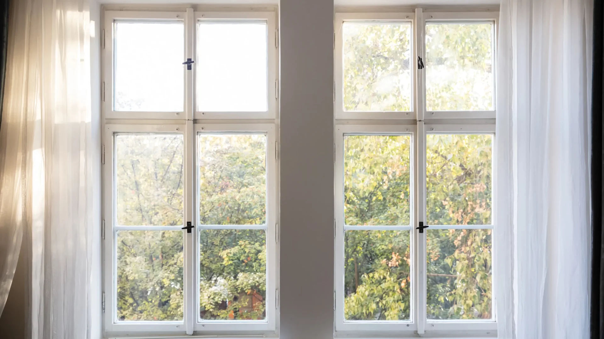 Two windows inside a home with white trim looking out towards a backyard filled with bushes in Marlton, NJ, by Ameritech Services.
