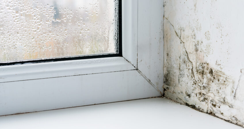 Mold and Window Condensation Forming On A Window In Blackwood, NJ With Ameritech Services